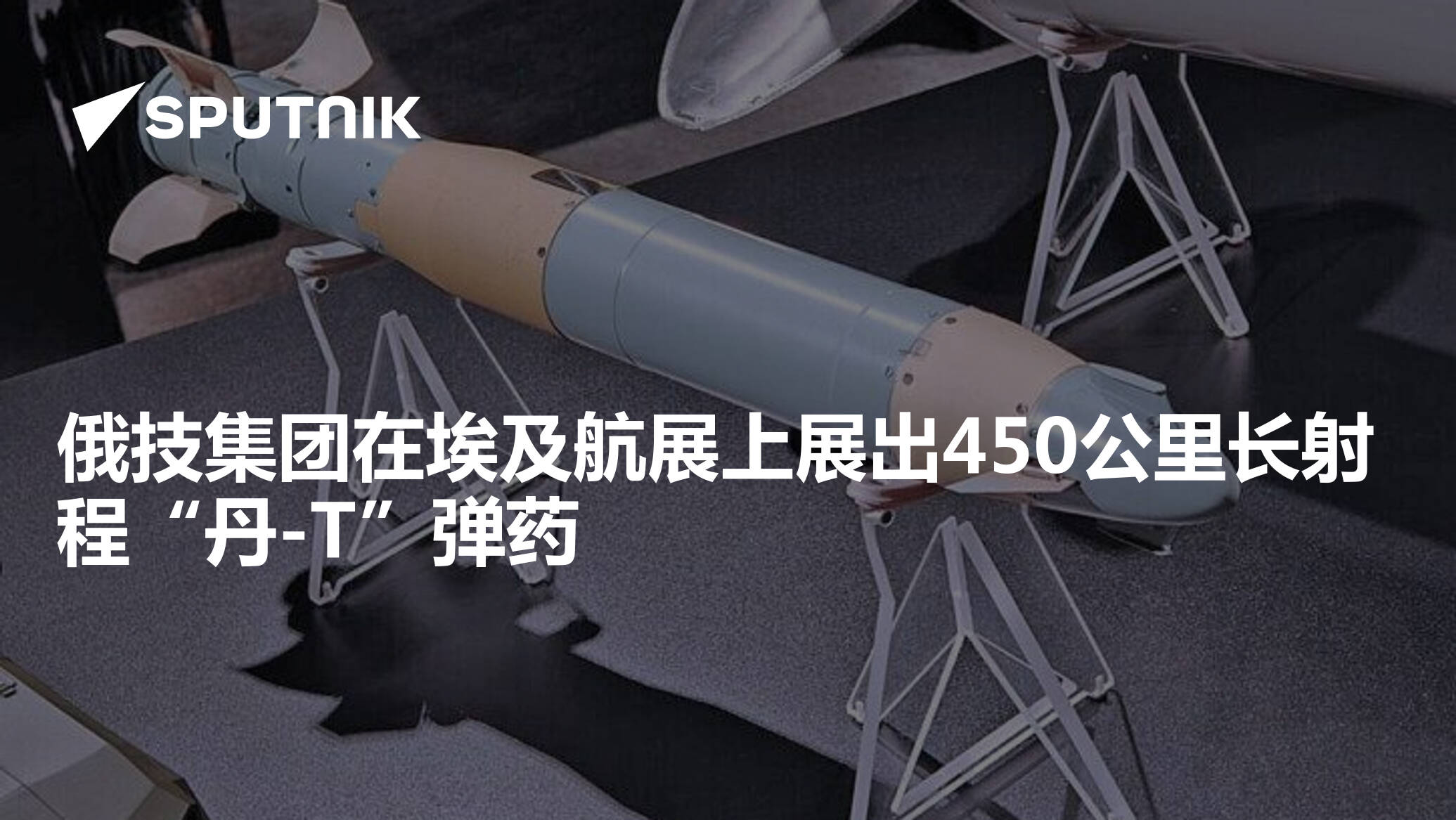 俄技集团在埃及航展上展出450公里长射程'丹-T'弹药