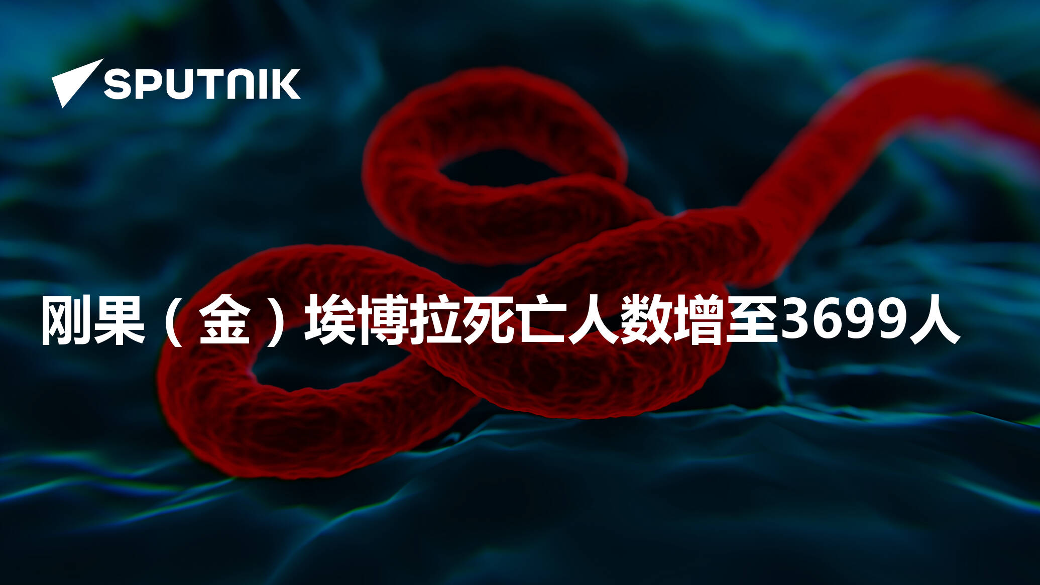 刚果（金）埃博拉死亡人数增至3699人
