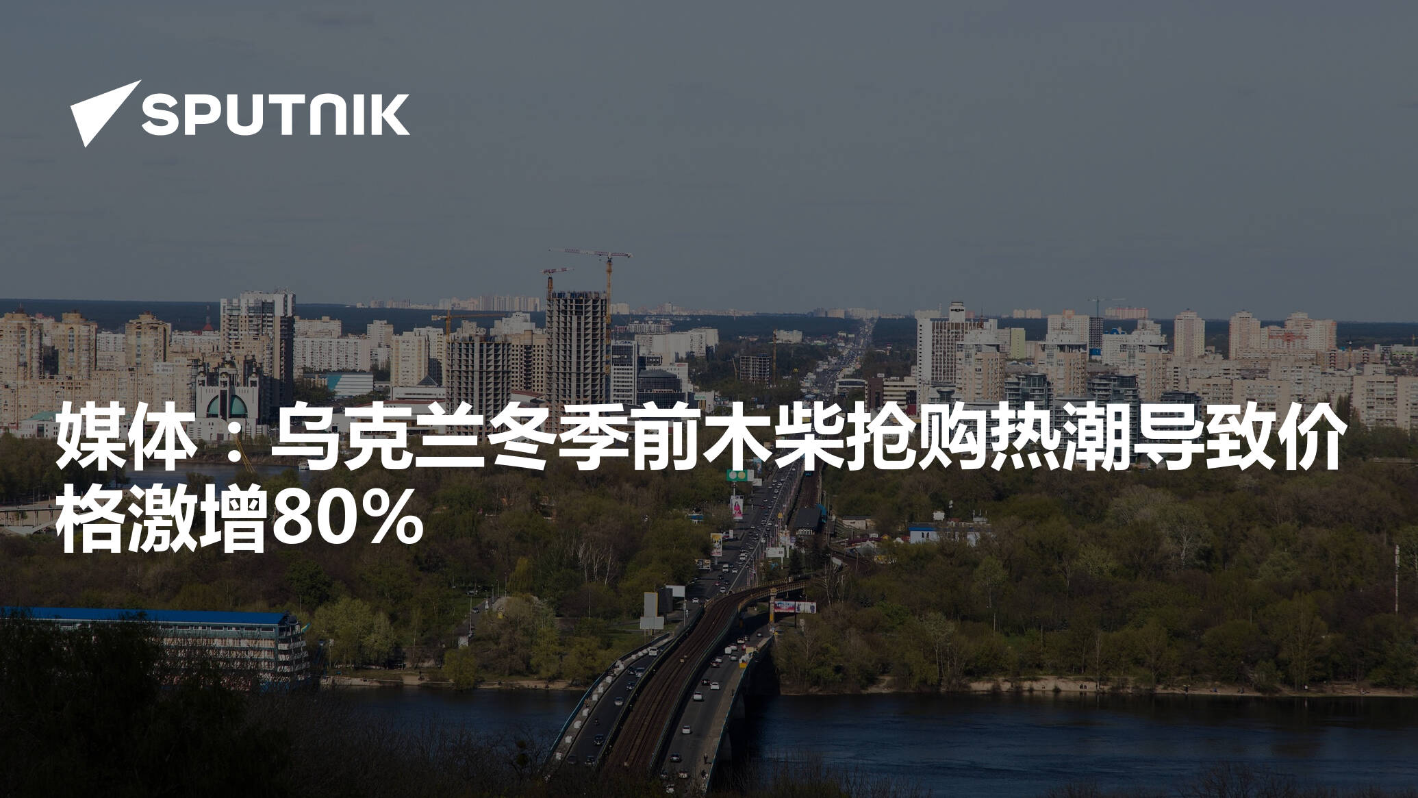 媒体：乌克兰冬季前木柴抢购热潮导致价格激增80%