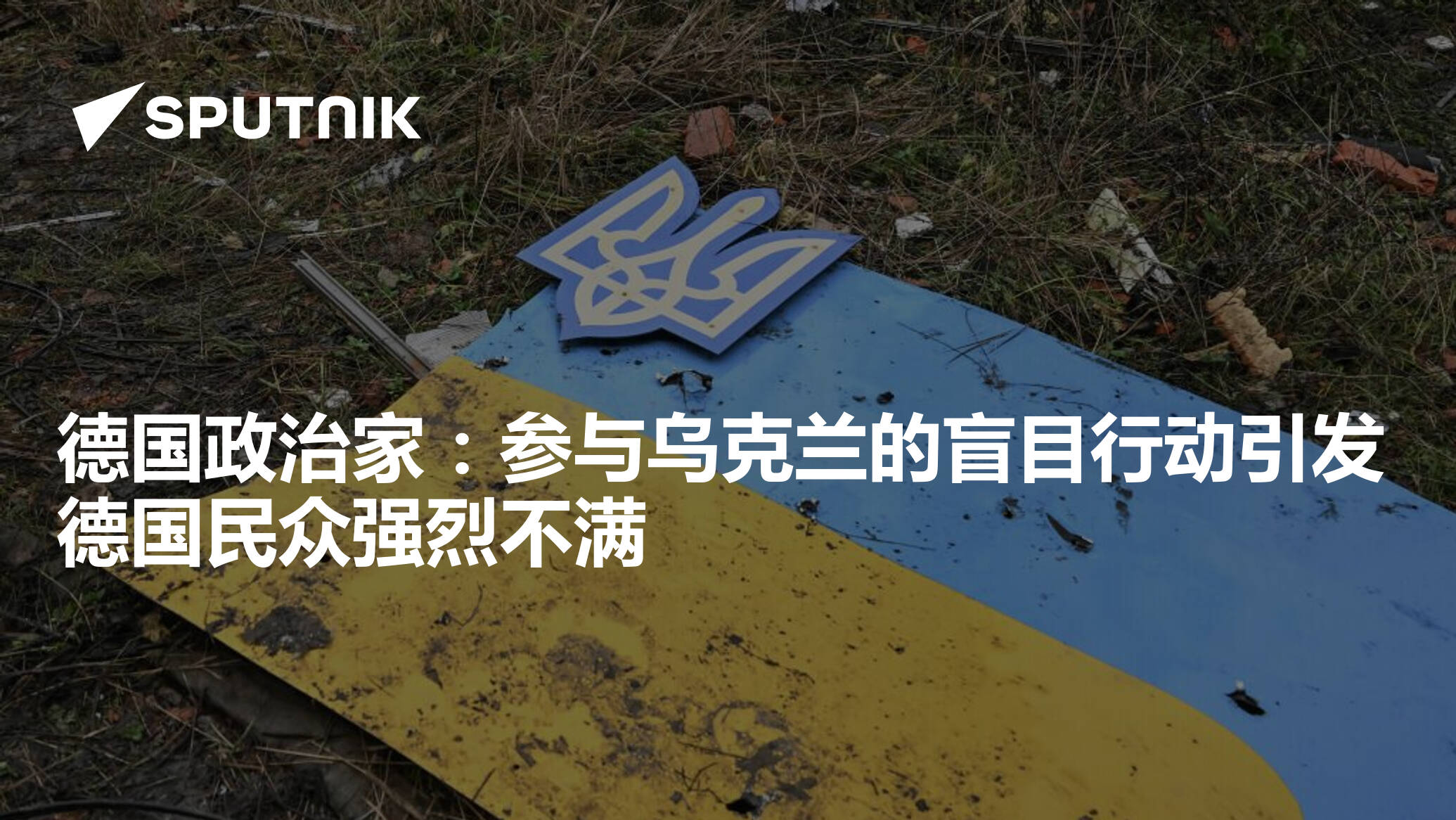 德国政治家：参与乌克兰的盲目行动引发德国民众强烈不满