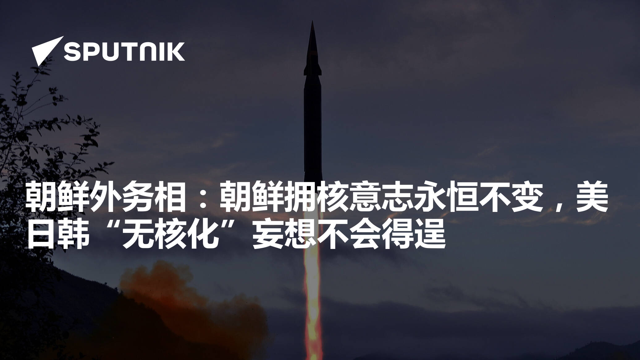 朝鲜外务相：朝鲜拥核意志永恒不变，美日韩“无核化”妄想不会得逞