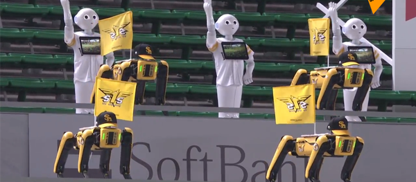 日本出现机器人球迷   - 俄罗斯卫星通讯社