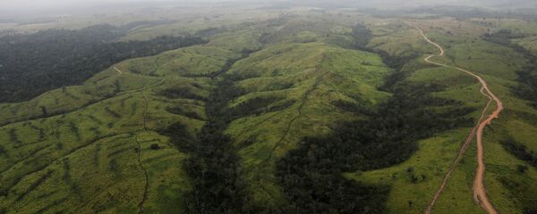 Аэрофотоснимок лишенных деревьев участков в лесах Амазонии, Бразилия - 俄羅斯衛星通訊社
