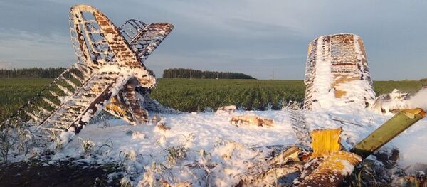 俄布里亚特共和国行政长官亲自监管失联安-2飞机搜寻工作 - 俄罗斯卫星通讯社