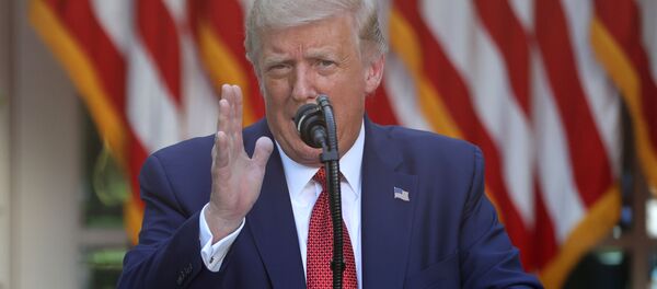 Президент США Дональд Трамп - 俄羅斯衛星通訊社