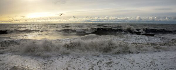 Шторм в Сочи - 俄罗斯卫星通讯社