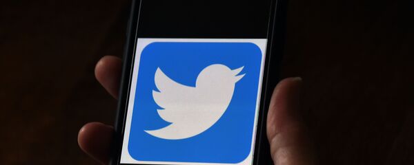 Логотип Twitter Логотип Twitter - 俄罗斯卫星通讯社