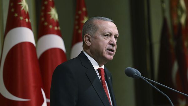 Президент Турции Реджеп Тайип Эрдоган выступает в резиденции президента в Анкаре - 俄罗斯卫星通讯社