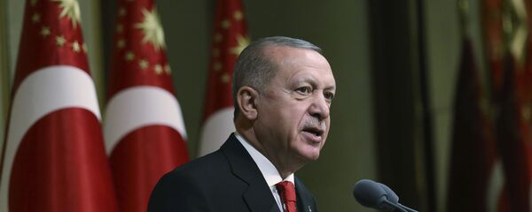 Президент Турции Реджеп Тайип Эрдоган выступает в резиденции президента в Анкаре - 俄罗斯卫星通讯社