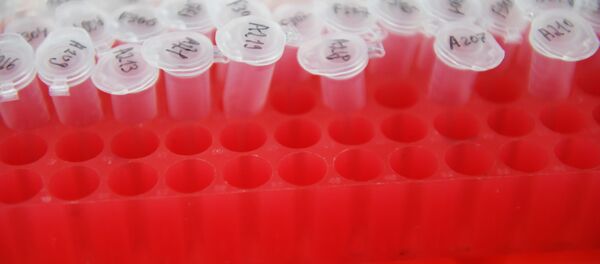 与俄罗斯有联系的黑客试图窃取新冠病毒疫苗研发数据 - 俄罗斯卫星通讯社