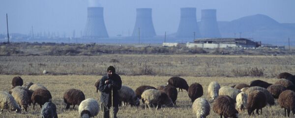 蒙古向中国捐赠的3万只羊将在经过隔离和必要检疫后移交中方 - 俄罗斯卫星通讯社