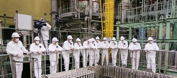 Загрузка ядерного топлива в реактор начата на новом блоке №2 Ленинградской АЭС-2 - 俄羅斯衛星通訊社