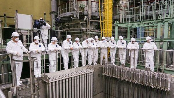 Загрузка ядерного топлива в реактор начата на новом блоке №2 Ленинградской АЭС-2 - 俄羅斯衛星通訊社