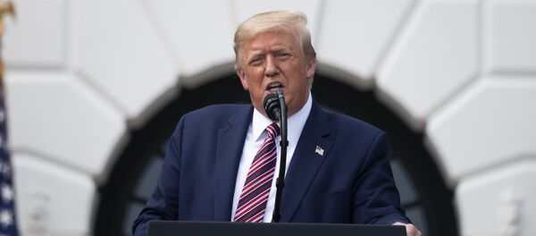 US President Donald Trump - 俄羅斯衛星通訊社