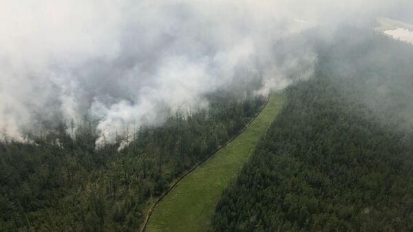 Вид сверху на лесной пожар в Якутии - 俄羅斯衛星通訊社