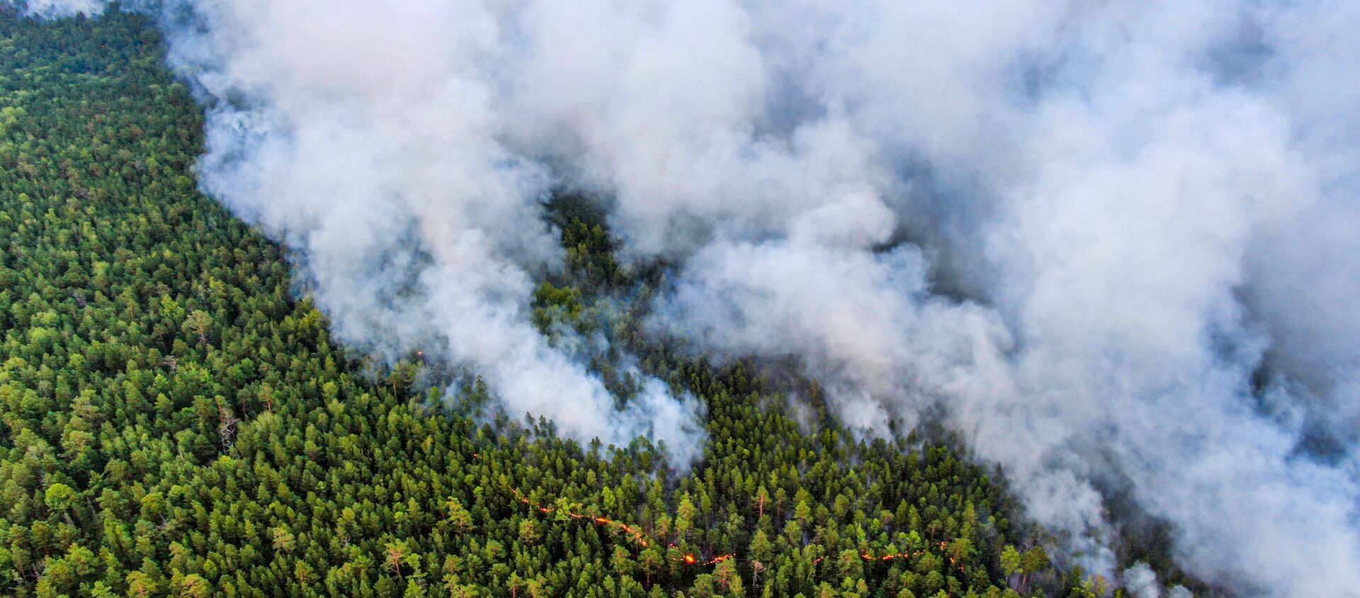 俄雅庫特森林火災面積過去一日新增逾2.2萬公頃 - 俄羅斯衛星通訊社, 1920, 25.06.2021