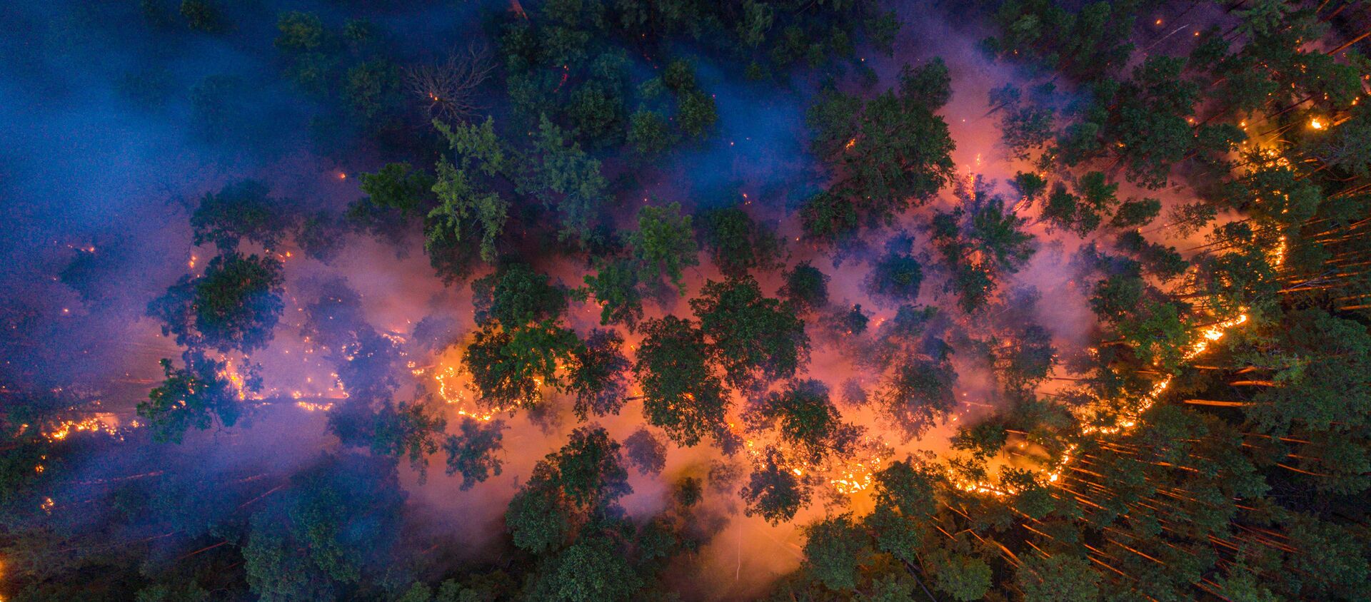 伊尔库茨克州林火面积超3500公顷 将实施人工降雨 - 俄罗斯卫星通讯社, 1920, 08.07.2021