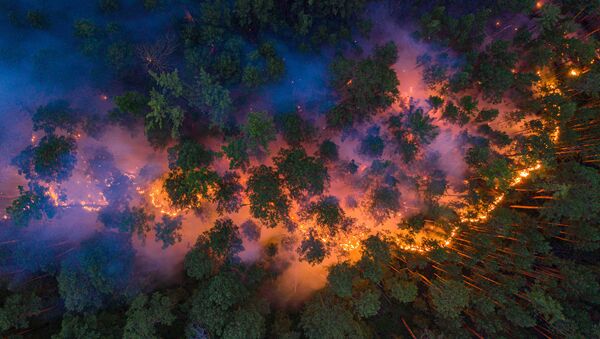 伊爾庫茨克州林火面積超3500公頃 將實施人工降雨 - 俄羅斯衛星通訊社