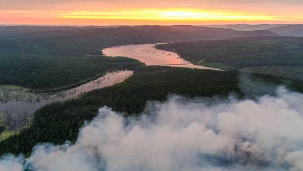 Вид сверху на окутанный дымом лес в Красноярском крае  - 俄罗斯卫星通讯社