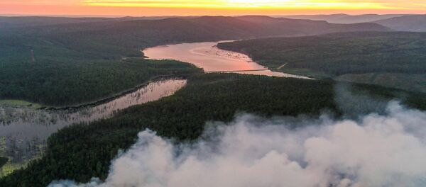 Вид сверху на окутанный дымом лес в Красноярском крае  - 俄罗斯卫星通讯社