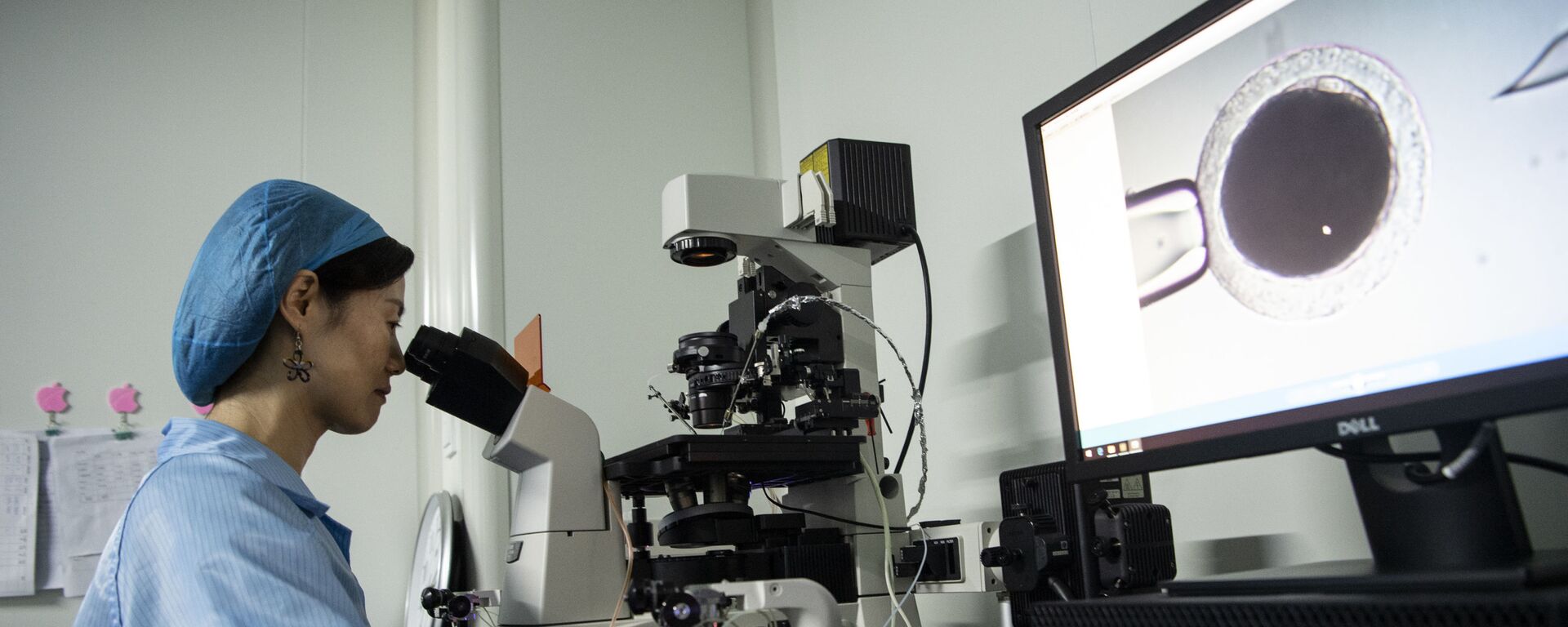 俄专家：中国将在2035年前步入世界技术领先行列 - 俄罗斯卫星通讯社, 1920, 04.03.2026