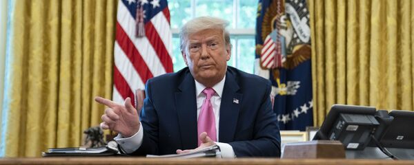 特朗普称美国将把驻阿富汗军人数减至4000人 - 俄罗斯卫星通讯社