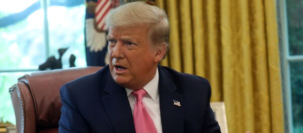 Президент США Дональд Трамп Президент США Дональд Трамп - 俄羅斯衛星通訊社