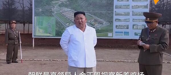 金正恩視察了位於平壤以南的新養雞場建設工地 金正恩視察了位於平壤以南的新養雞場建設工地 - 俄羅斯衛星通訊社