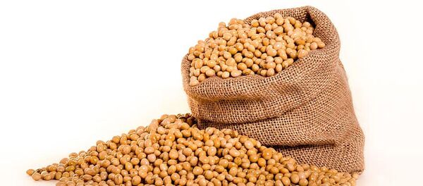 Мешок с соевыми бобами - 俄羅斯衛星通訊社