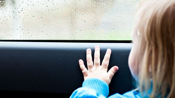 Девочка в машине смотрит в окно - 俄羅斯衛星通訊社