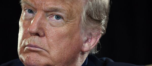 US President Donald Trump - 俄罗斯卫星通讯社