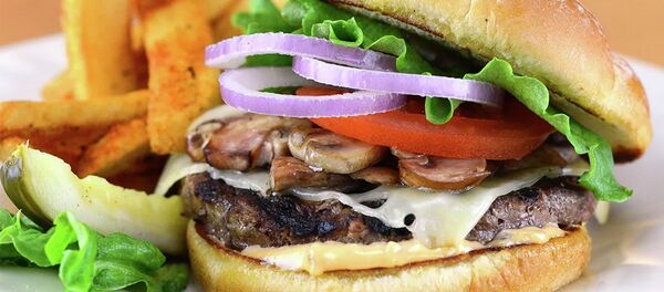 Бургер Бургер - 俄罗斯卫星通讯社