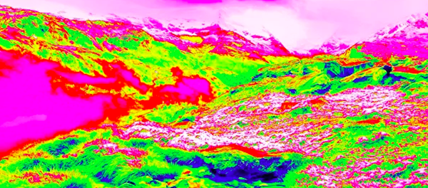 俄罗斯科学家研发“蛇眼视觉”技术 - 俄罗斯卫星通讯社