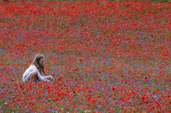 Девушка в поле цветущих цветов мака возле Кастеллуччо, небольшой деревни в центральной части региона Умбрия, Италия - 俄罗斯卫星通讯社