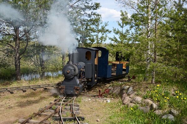 聖彼得堡工程師介紹自己在森林中鋪設小型鐵路 - 俄羅斯衛星通訊社