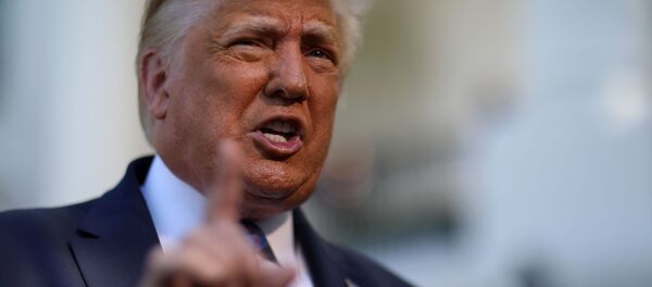 美国总统特朗普提议可推迟2020总统大选 - 俄罗斯卫星通讯社