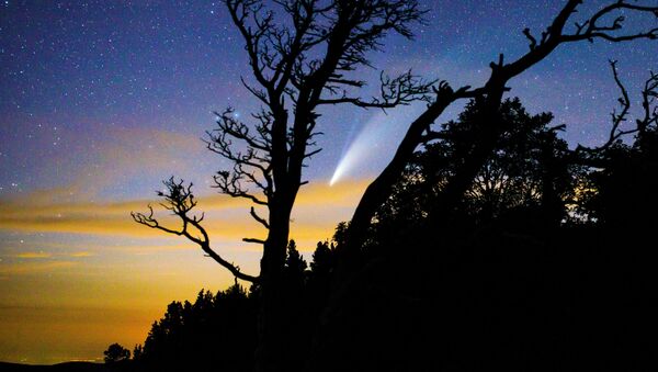 Комета NeoWise в небе над Краснодарским краем - 俄罗斯卫星通讯社