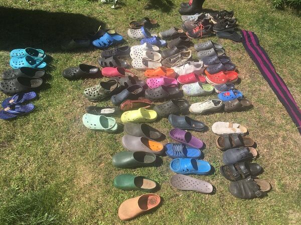 收藏鞋子的狐狸 - 俄罗斯卫星通讯社