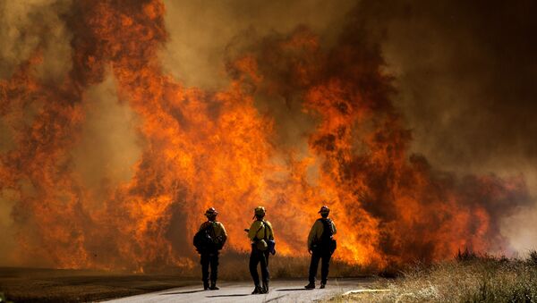 Пожарные у палящей травы в Калифорнии - 俄罗斯卫星通讯社