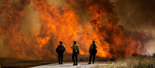 加利福尼亚州着火草地旁的消防员 - 俄罗斯卫星通讯社