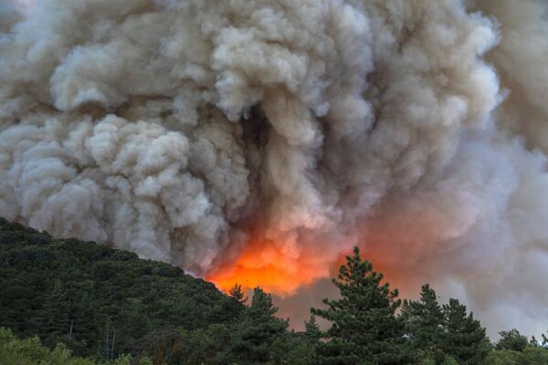 加利福尼亚州林火的烟和火光 - 俄罗斯卫星通讯社