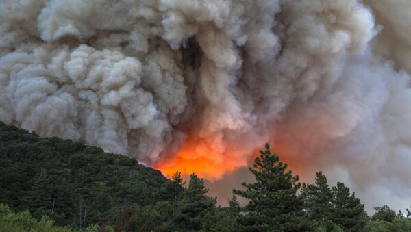 Дым и огонь от природных пожаров в Калифорнии  - 俄罗斯卫星通讯社