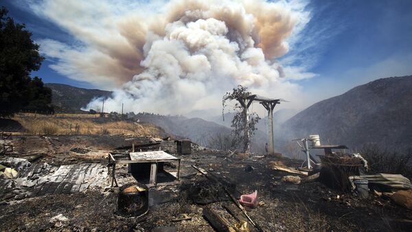 Дым от природных пожаров в Калифорнии - 俄羅斯衛星通訊社