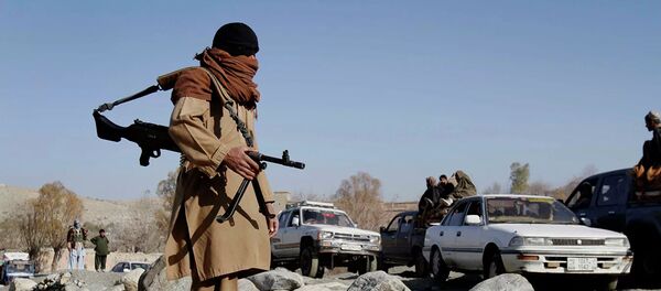 Боевики радикального движения Талибан в Афганистане - 俄罗斯卫星通讯社