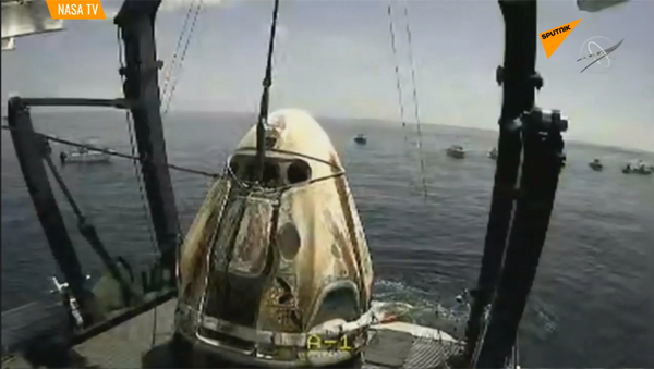 载人龙飞船完成首航顺利在墨西哥湾溅落 - 俄罗斯卫星通讯社