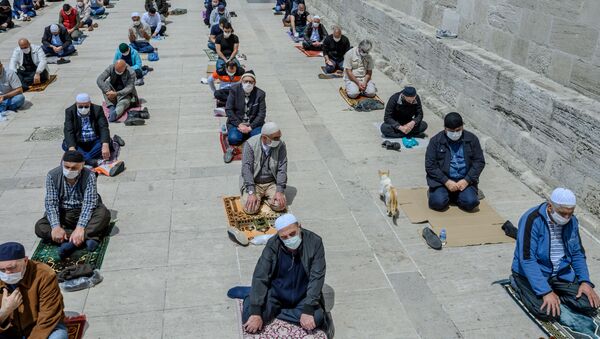 Кот среди верующих, соблюдающих социальную дистанцию, на пятничной молитве возле мечети Фатих в Стамбуле, Турция - 俄罗斯卫星通讯社
