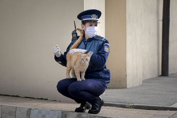 罗马尼亚布加勒斯特一只小猫站在女警腿上 - 俄罗斯卫星通讯社
