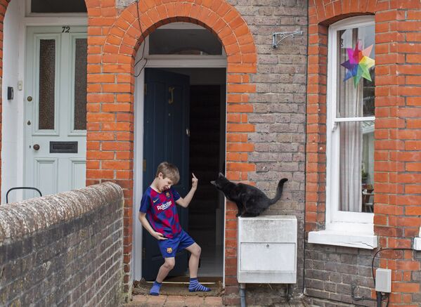 英国一个小球员在家门口和小猫玩耍 - 俄罗斯卫星通讯社