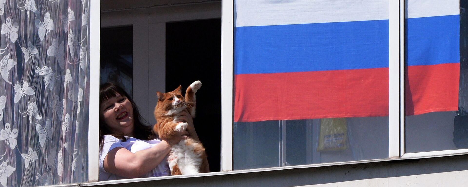俄罗斯最受欢迎的宠物仍是猫 - 俄罗斯卫星通讯社, 1920, 16.08.2022