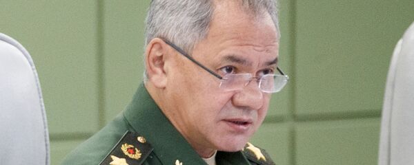 俄防长：俄国防部将购买新一批苏-35S战斗机 价值700亿卢布 - 俄罗斯卫星通讯社